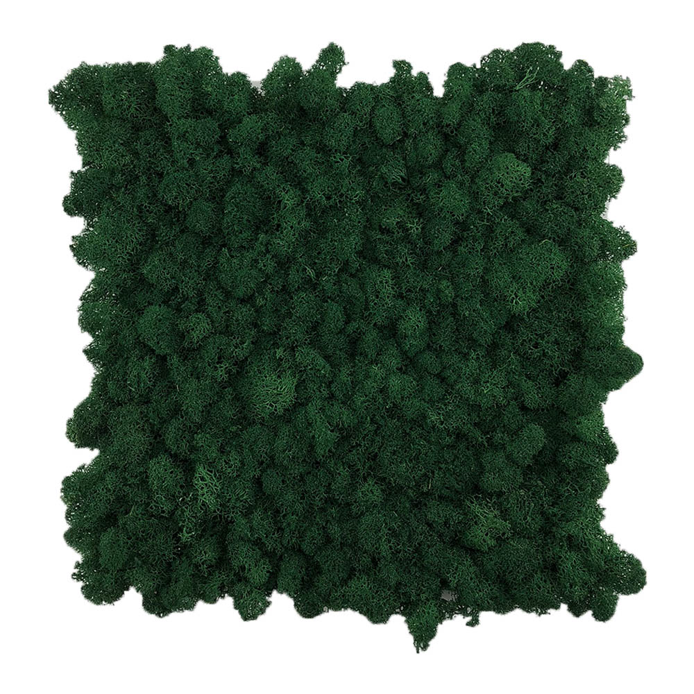 Preserevd Moss Panel-Dark Green 