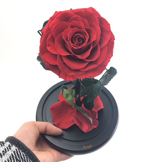Preserved Rose in M Size Glass